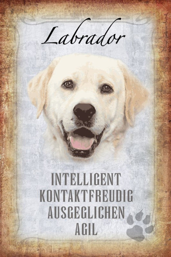 Labrador - intelligent kontaktfreudig