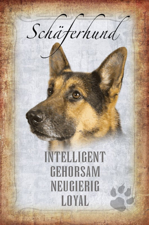 Schäferhund - intelligent neugierig