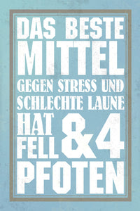 Das beste Mittel gegen Stress hat Fell