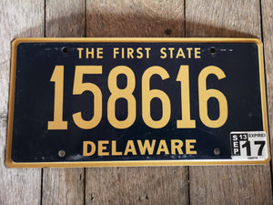 Delaware US USA Kennzeichen Metallschild 30x15cm