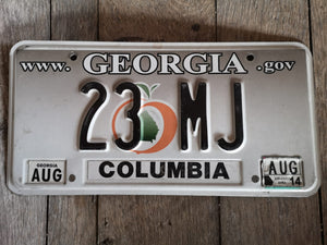 Georgia Columbia US USA Kennzeichen Metallschild 30x15cm