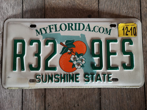 Florida US USA Kennzeichen Metallschild 30x15cm